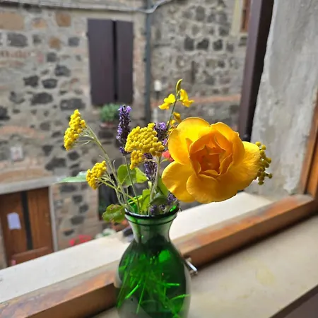 Flat Ghino Di Tacco Historical Centre Appartement *